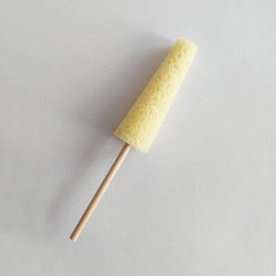 Konik Sünger - Küçük - 